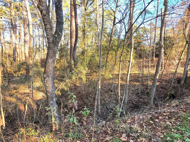 TBD Governor Wood Drive, Point Blank, TX 77364