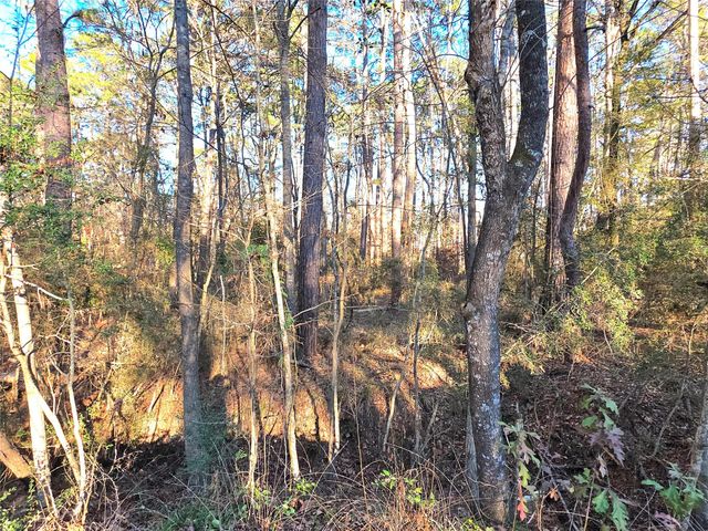 TBD Governor Wood Drive, Point Blank, TX 77364