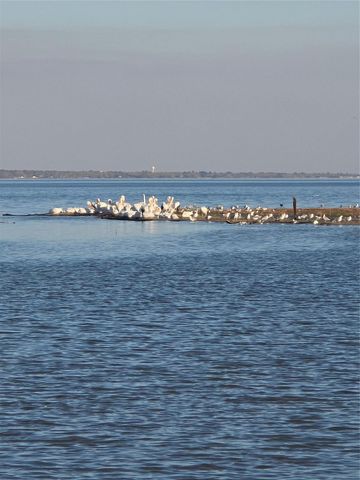 TBD Governor Wood Drive, Point Blank, TX 77364