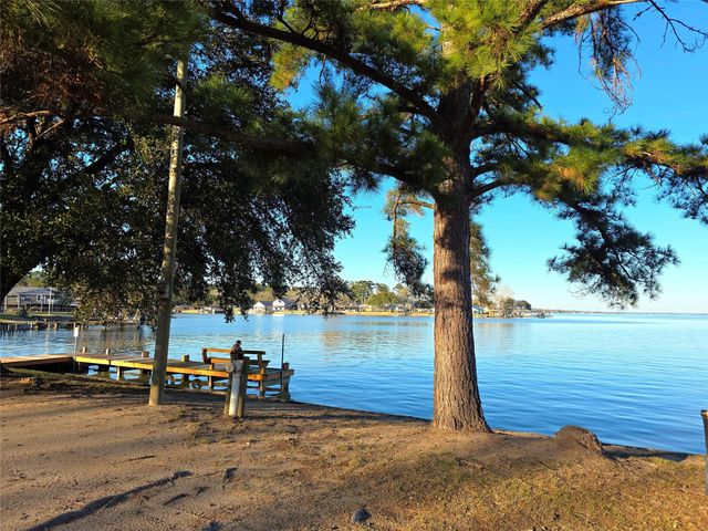 TBD Governor Wood Drive, Point Blank, TX 77364