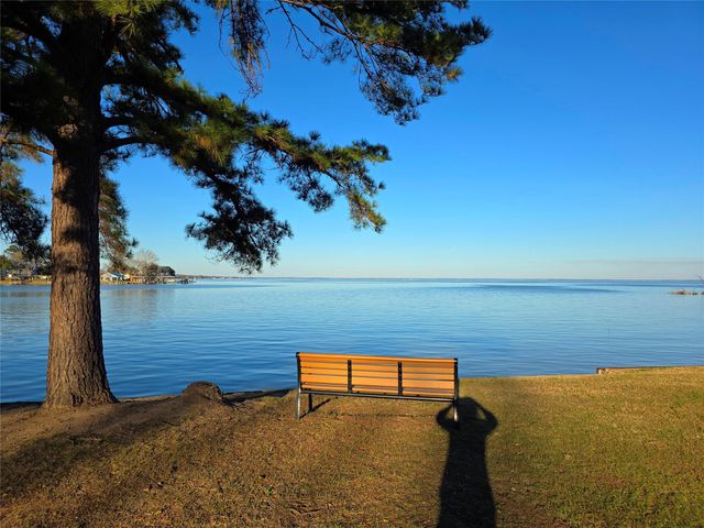 TBD Governor Wood Drive, Point Blank, TX 77364