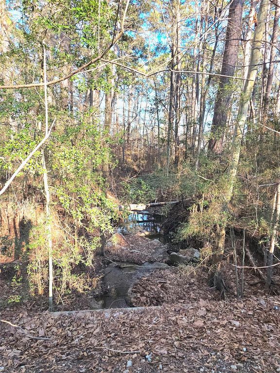 TBD Governor Wood Drive, Point Blank, TX 77364