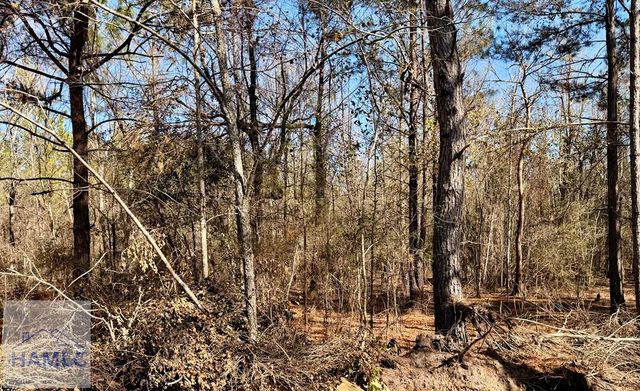 850 O.F. Lanier Road, Pembroke, GA 31321