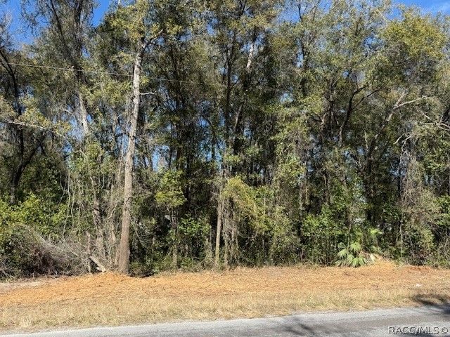 3667 E Orchid Street, Hernando, FL 34442