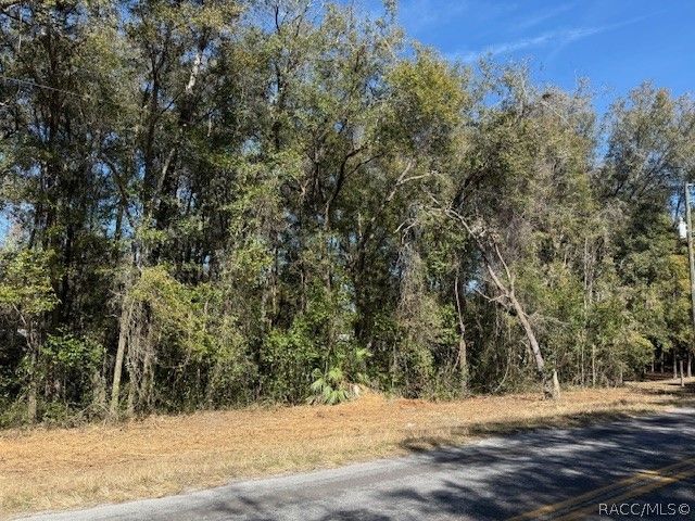 3667 E Orchid Street, Hernando, FL 34442