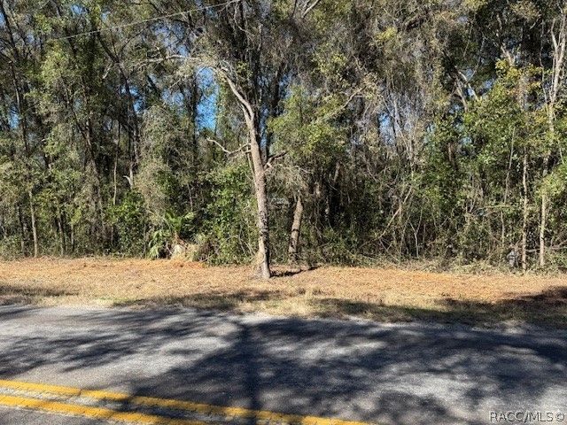 3667 E Orchid Street, Hernando, FL 34442