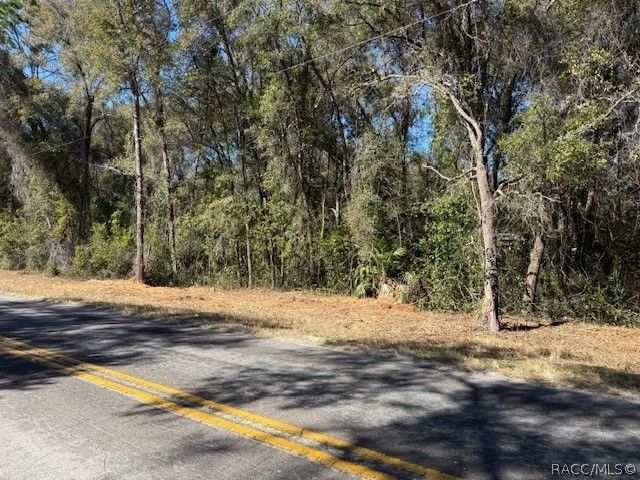 3667 E Orchid Street, Hernando, FL 34442