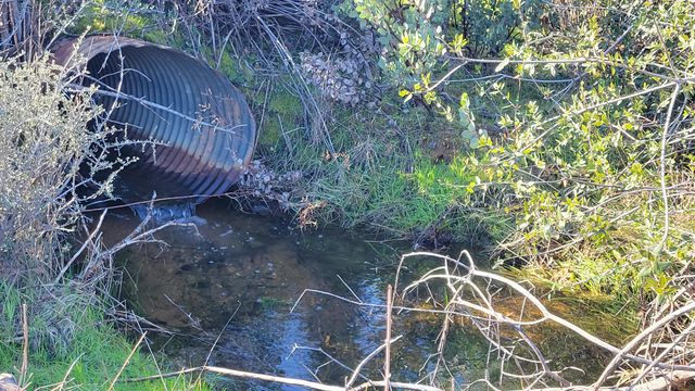 16166 Cagle Lane, Redding, CA 96001