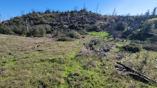 16166 Cagle Lane, Redding, CA 96001