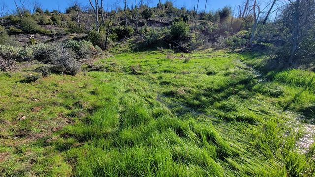 16166 Cagle Lane, Redding, CA 96001