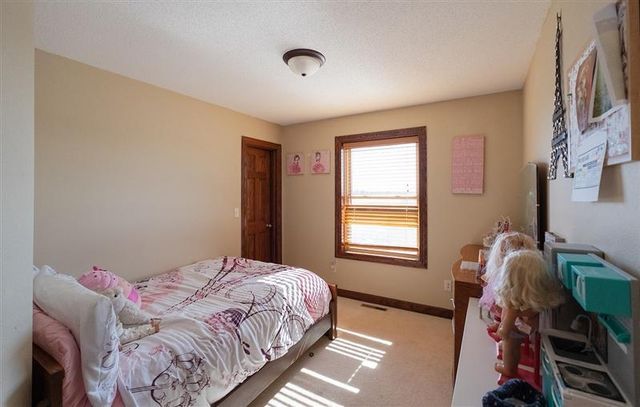 804 11th Avenue SW, Rice, MN 56367