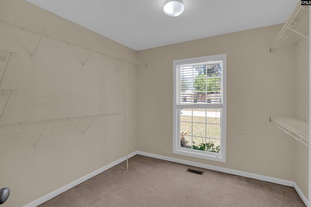 116 Cottingham Court, Lexington, SC 29072