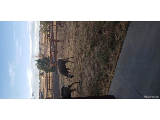 13490 Halleluiah Trl, Elbert, CO 80106