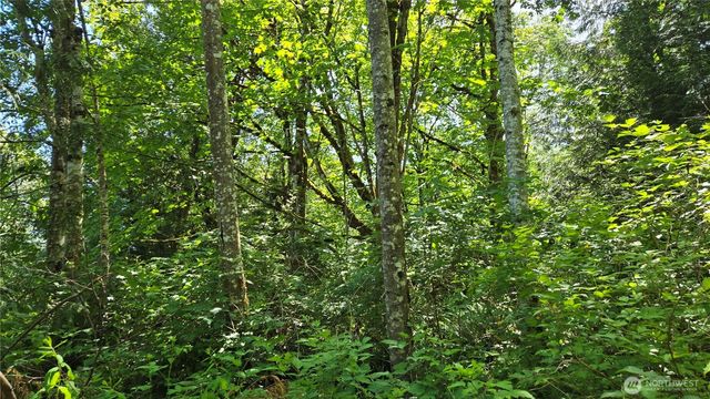 3628 Creek View Court SE, Port Orchard, WA 98366
