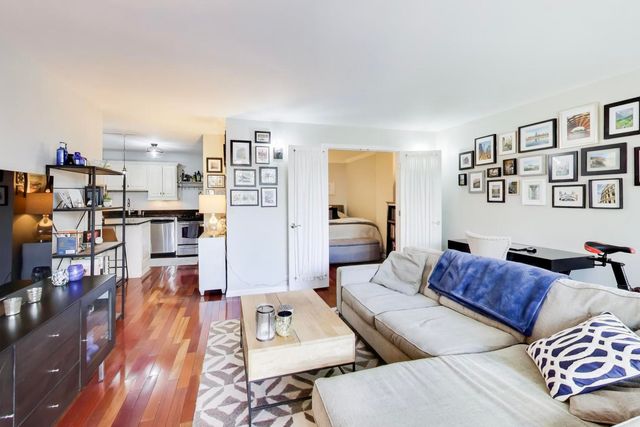 1555 N SANDBURG Terrace 406, Chicago, IL 60610