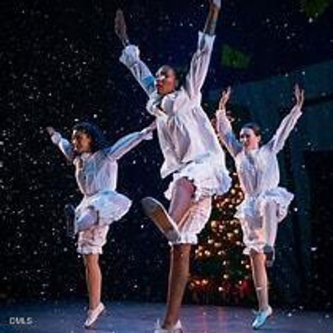 1050 Zelkova Lane, Chapel Hill, NC 27517