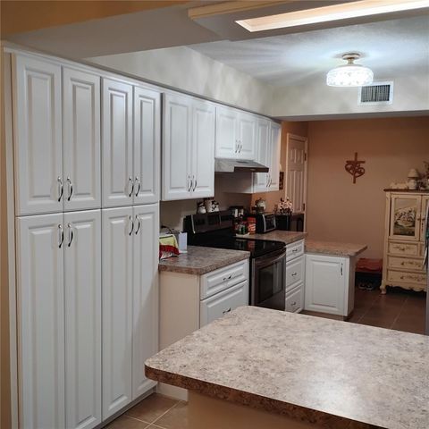 8943 SILVER LAKE DRIVE, Leesburg, FL 34788