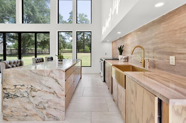10429 Longstreet Road, Willis, TX 77318