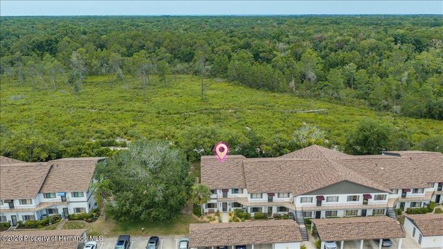 6653 River Run Boulevard, Weeki Wachee, FL 34607
