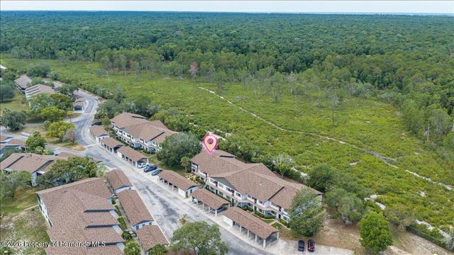 6653 River Run Boulevard, Weeki Wachee, FL 34607