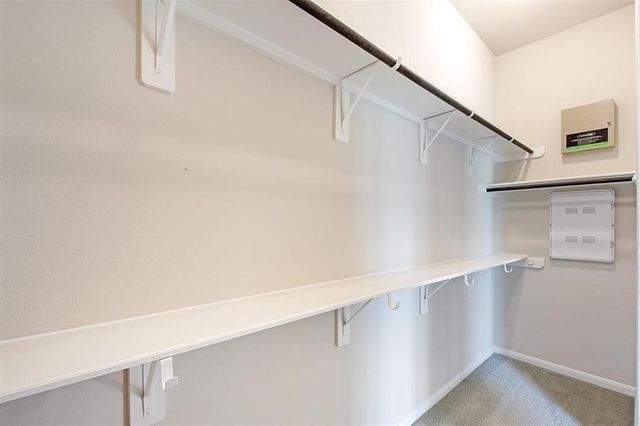 1435 Cecilia Vines Drive, Conroe, TX 77301