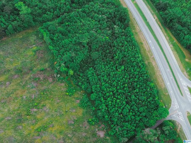 12 Acres HIGHWAY 278 BYPASS, Piedmont, AL 36272