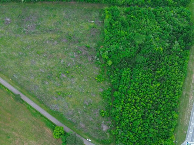 12 Acres HIGHWAY 278 BYPASS, Piedmont, AL 36272