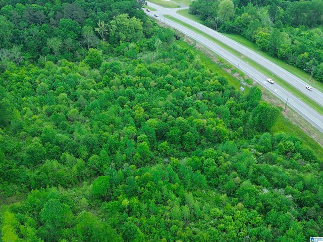 12 Acres HIGHWAY 278 BYPASS, Piedmont, AL 36272