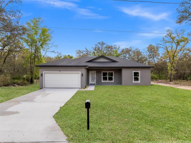 110 GUAVA PLACE DRIVE, Ocklawaha, FL 32179