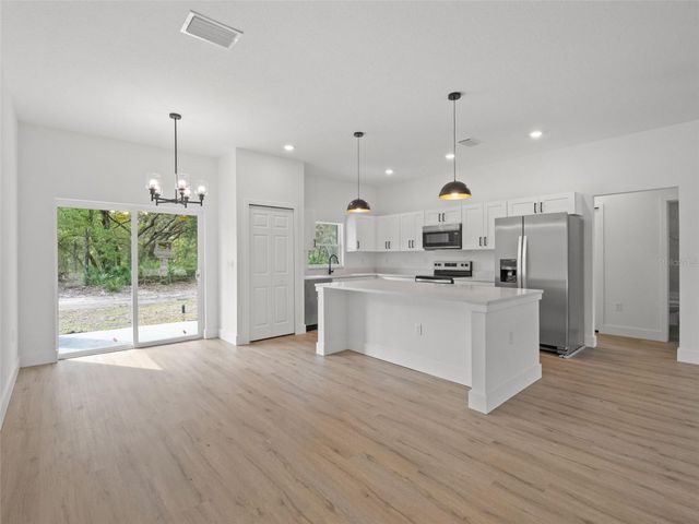 110 GUAVA PLACE DRIVE, Ocklawaha, FL 32179