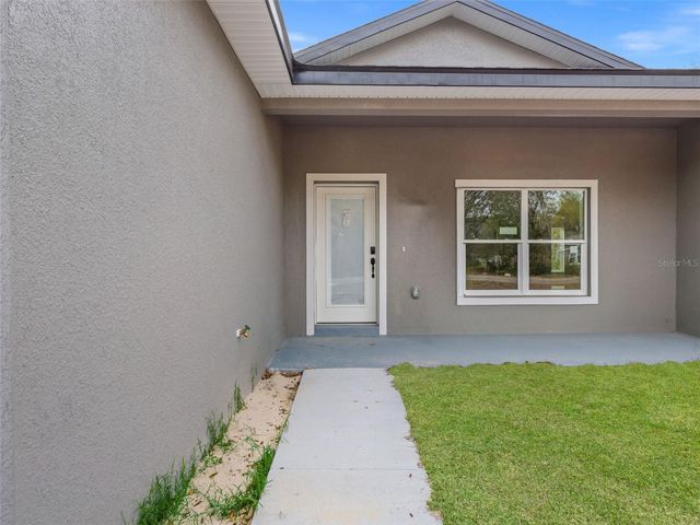 110 GUAVA PLACE DRIVE, Ocklawaha, FL 32179