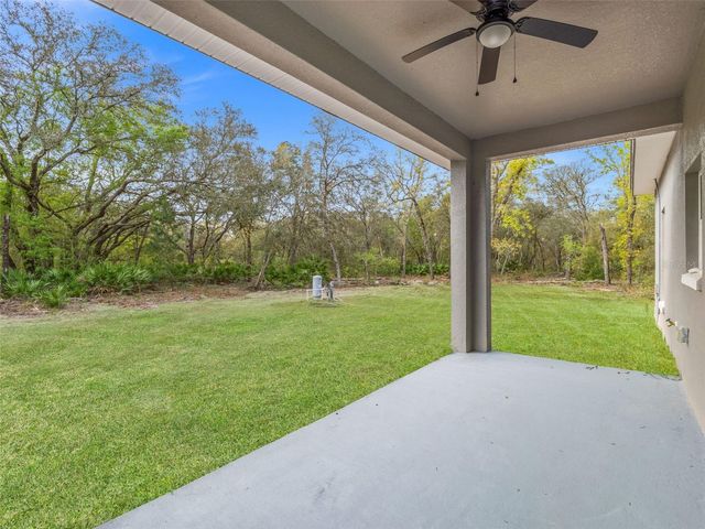 110 GUAVA PLACE DRIVE, Ocklawaha, FL 32179