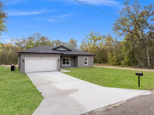 110 GUAVA PLACE DRIVE, Ocklawaha, FL 32179