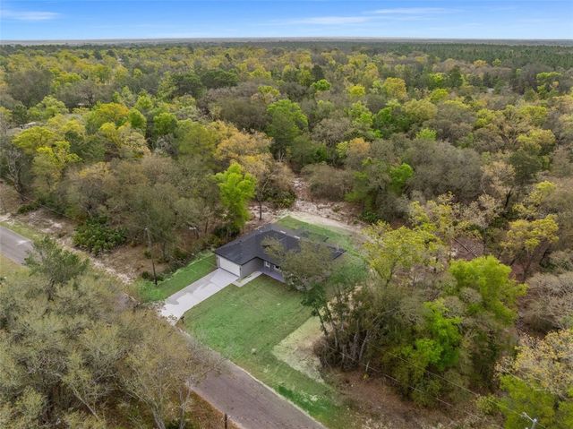 110 GUAVA PLACE DRIVE, Ocklawaha, FL 32179