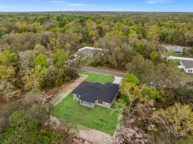 110 GUAVA PLACE DRIVE, Ocklawaha, FL 32179