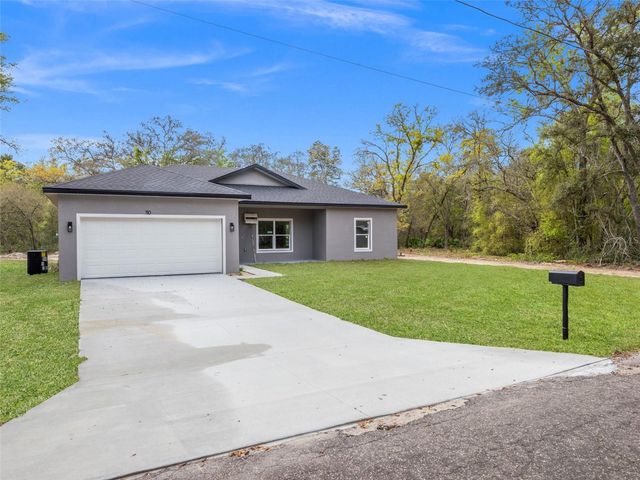 110 GUAVA PLACE DRIVE, Ocklawaha, FL 32179