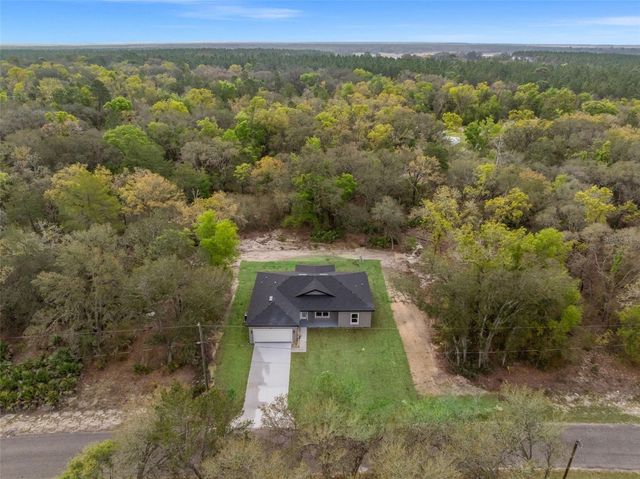 110 GUAVA PLACE DRIVE, Ocklawaha, FL 32179