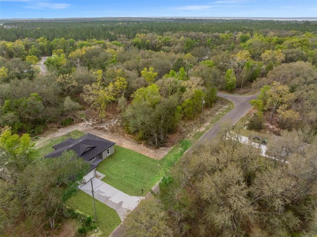 110 GUAVA PLACE DRIVE, Ocklawaha, FL 32179