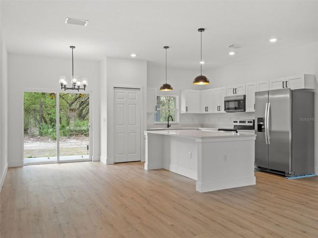 110 GUAVA PLACE DRIVE, Ocklawaha, FL 32179