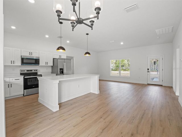 110 GUAVA PLACE DRIVE, Ocklawaha, FL 32179
