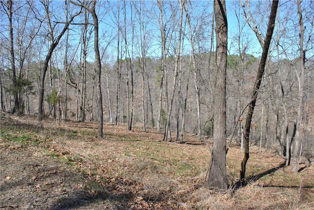 Lot 103A E Robin Road, Rogers, AR 72756