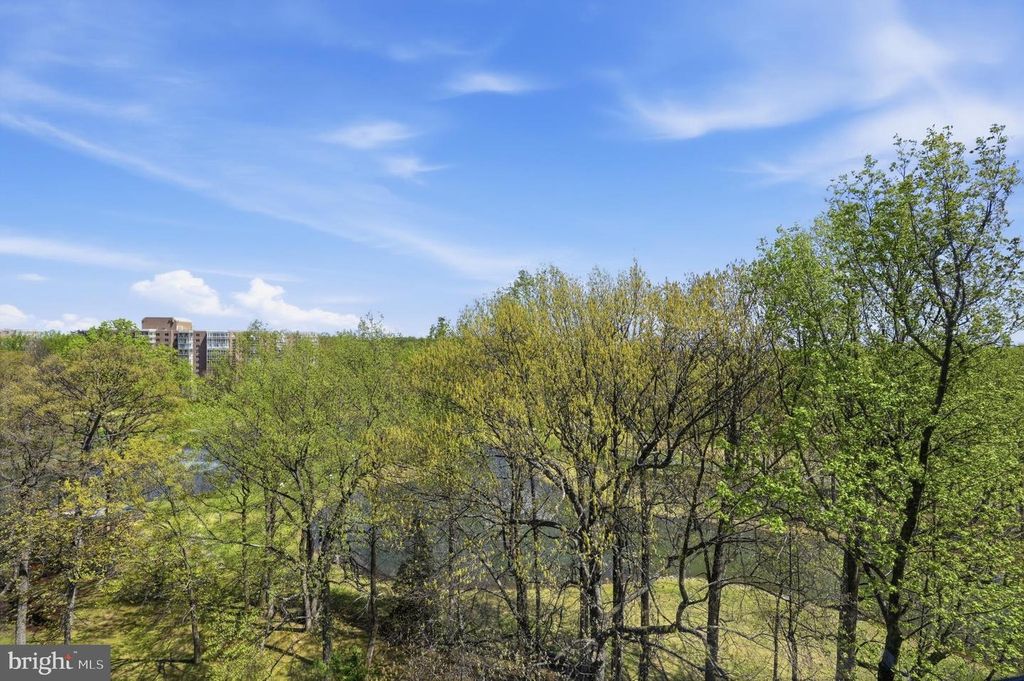 Image 14 of property listing at 15107 INTERLACHEN DR #2-1006, Silver Spring, MD 20906