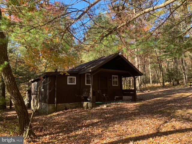 161 PEFFER, Mc Connellsburg, PA 17233