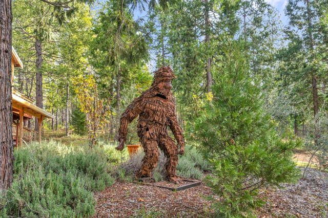 1486 Prussian Hill Rd, Mokelumne Hill, CA 95245