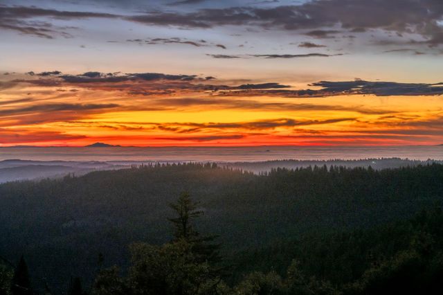 1486 Prussian Hill Rd, Mokelumne Hill, CA 95245