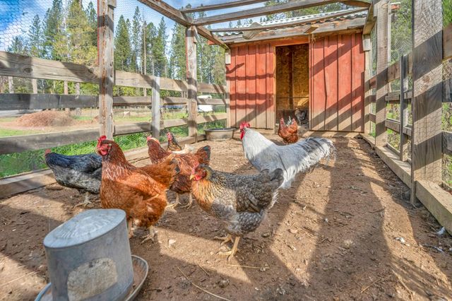 1486 Prussian Hill Rd, Mokelumne Hill, CA 95245