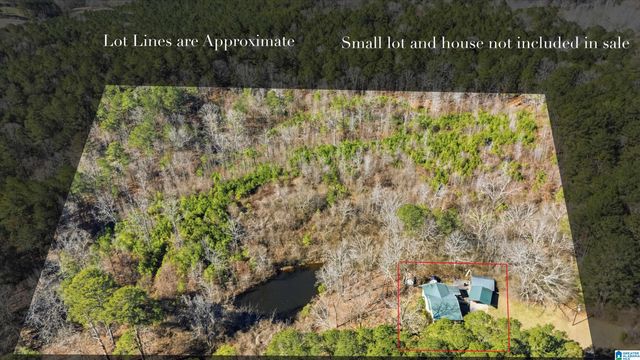 8160 ANDERSON DRIVE, Morris, AL 35116