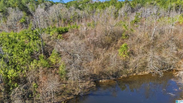 8160 ANDERSON DRIVE, Morris, AL 35116