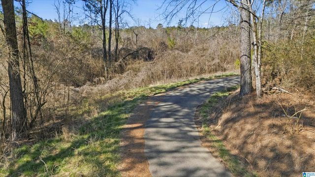 8160 ANDERSON DRIVE, Morris, AL 35116