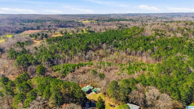 8160 ANDERSON DRIVE, Morris, AL 35116